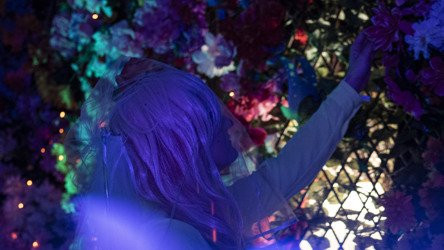 Éclairage sombre bleuté. Une femme tend la main vers une fleur contre une clôture