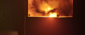 Une structure lumineuse cubique avec des formes végétales au travers