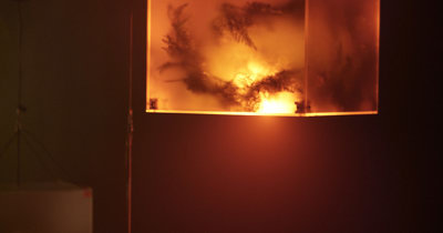 Une structure lumineuse cubique avec des formes végétales au travers