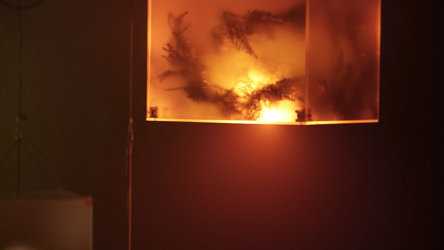 Une structure lumineuse cubique avec des formes végétales au travers