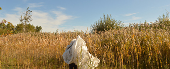 Une personne recouverte d'une bâche, debout, dans un champs de blé