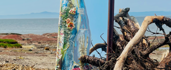 Un amoncellement sculptural de matériaux naturels sur la plage