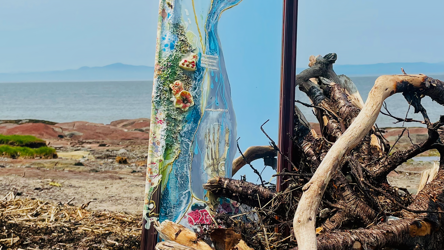 Un amoncellement sculptural de matériaux naturels sur la plage